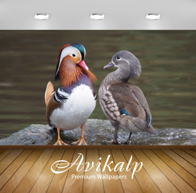

Avikalp Nature Wallpaper(60.96 cm X 91.44 cm)