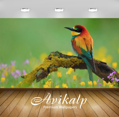 

Avikalp Nature Wallpaper(60.96 cm X 91.44 cm)