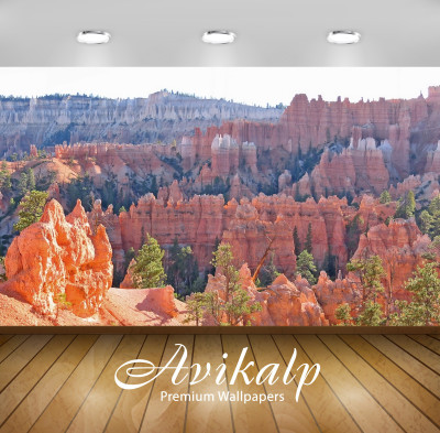

Avikalp Nature Wallpaper(60.96 cm X 91.44 cm)