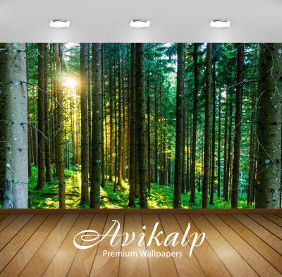 

Avikalp Nature Wallpaper(60.96 cm X 91.44 cm)