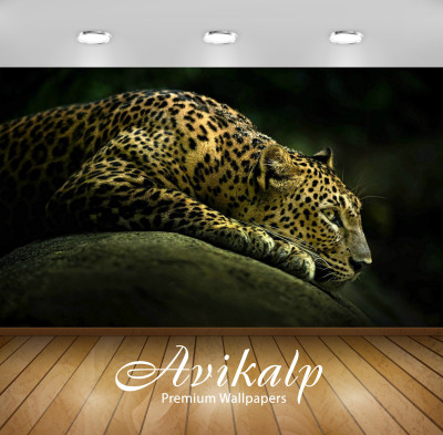 

Avikalp Animals Wallpaper(60.96 cm X 91.44 cm)