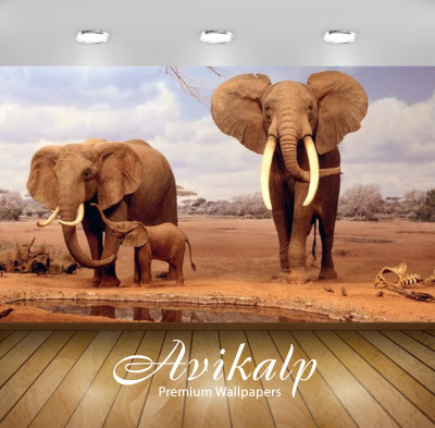

Avikalp Nature Wallpaper(60.96 cm X 91.44 cm)