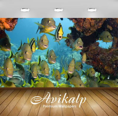 Avikalp Nature Wallpaper(60.96 cm X 91.44 cm)