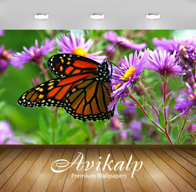 

Avikalp Nature Wallpaper(60.96 cm X 91.44 cm)