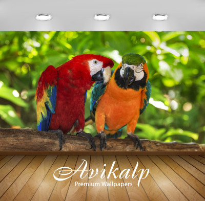 

Avikalp Nature Wallpaper(60.96 cm X 91.44 cm)