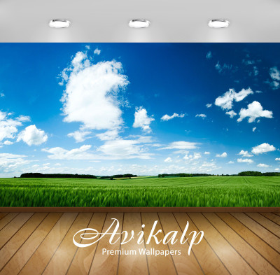 

Avikalp Nature Wallpaper(60.96 cm X 91.44 cm)