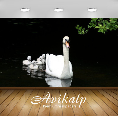 

Avikalp Nature Wallpaper(60.96 cm X 91.44 cm)