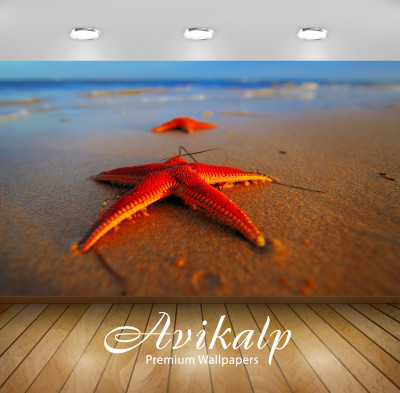 

Avikalp Nature Wallpaper(60.96 cm X 91.44 cm)