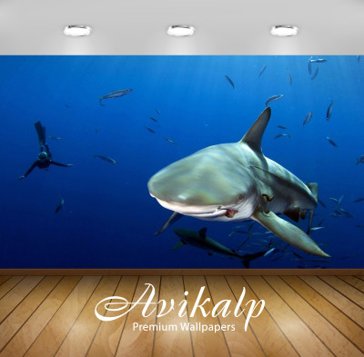 

Avikalp Nature Wallpaper(60.96 cm X 91.44 cm)