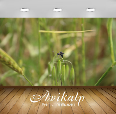 

Avikalp Nature Wallpaper(60.96 cm X 91.44 cm)