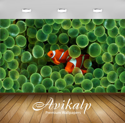 

Avikalp Nature Wallpaper(60.96 cm X 91.44 cm)