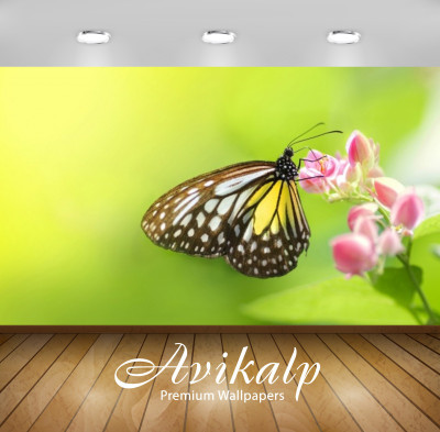 Avikalp Nature Wallpaper(60.96 cm X 91.44 cm)
