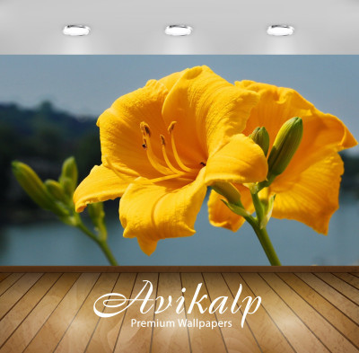 

Avikalp Nature Wallpaper(60.96 cm X 91.44 cm)