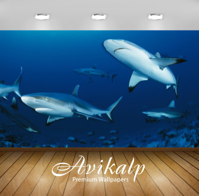

Avikalp Nature Wallpaper(60.96 cm X 91.44 cm)