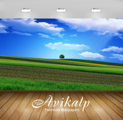 

Avikalp Nature Wallpaper(60.96 cm X 91.44 cm)