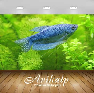 

Avikalp Nature Wallpaper(60.96 cm X 91.44 cm)