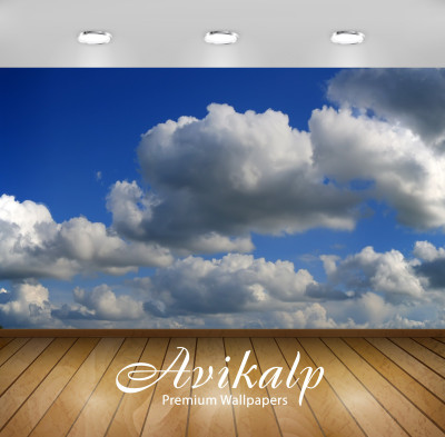 

Avikalp Nature Wallpaper(60.96 cm X 91.44 cm)