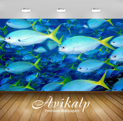 

Avikalp Nature Wallpaper(60.96 cm X 91.44 cm)