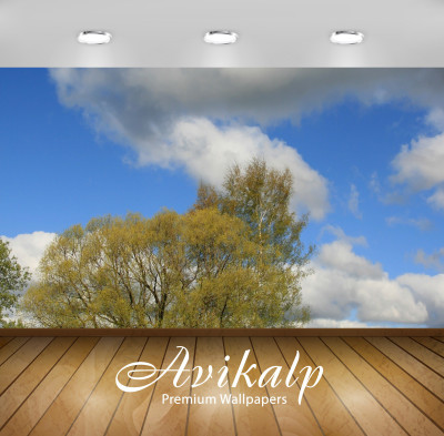 

Avikalp Nature Wallpaper(60.96 cm X 91.44 cm)