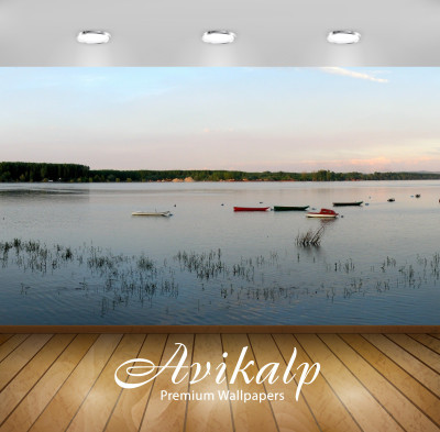 

Avikalp Nature Wallpaper(60.96 cm X 91.44 cm)