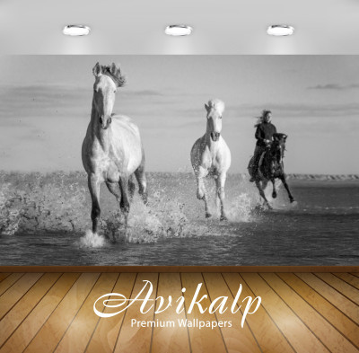 

Avikalp Nature Wallpaper(60.96 cm X 91.44 cm)