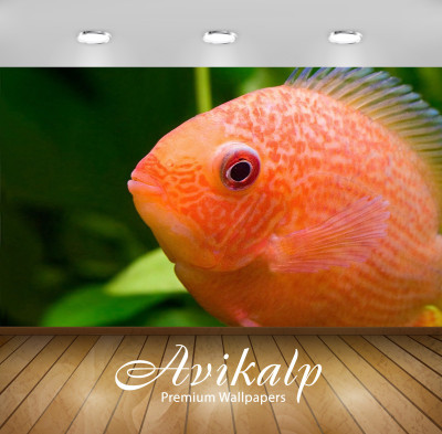 

Avikalp Nature Wallpaper(60.96 cm X 91.44 cm)