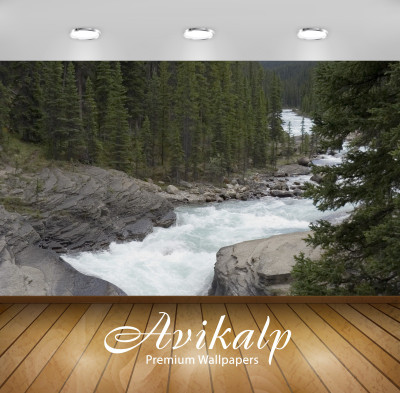 

Avikalp Nature Wallpaper(60.96 cm X 91.44 cm)