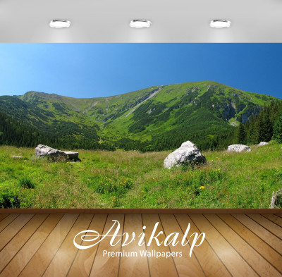 

Avikalp Nature Wallpaper(60.96 cm X 91.44 cm)