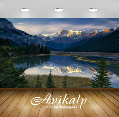 

Avikalp Nature Wallpaper(60.96 cm X 91.44 cm)