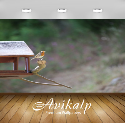 

Avikalp Nature Wallpaper(60.96 cm X 91.44 cm)