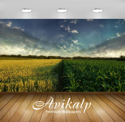 

Avikalp Nature Wallpaper(60.96 cm X 91.44 cm)