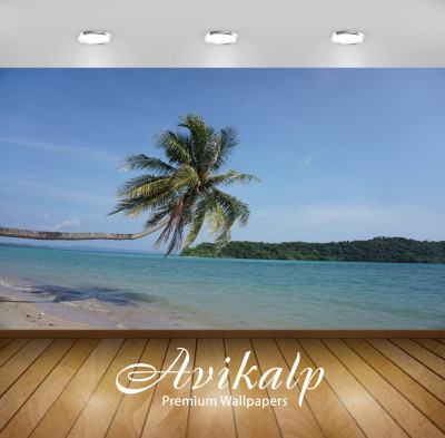 

Avikalp Nature Wallpaper(60.96 cm X 91.44 cm)