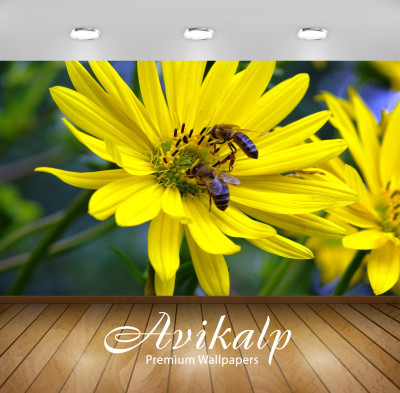 

Avikalp Floral & Botanical Wallpaper(60.96 cm X 91.44 cm)