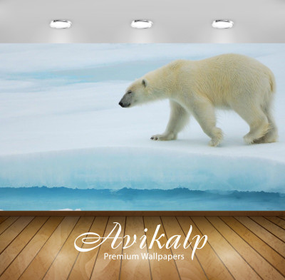 

Avikalp Nature Wallpaper(60.96 cm X 91.44 cm)