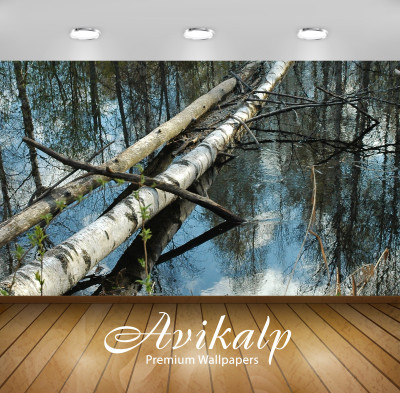 

Avikalp Nature Wallpaper(60.96 cm X 91.44 cm)
