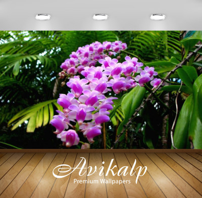 

Avikalp Nature Wallpaper(60.96 cm X 91.44 cm)