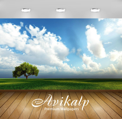 

Avikalp Nature Wallpaper(60.96 cm X 91.44 cm)
