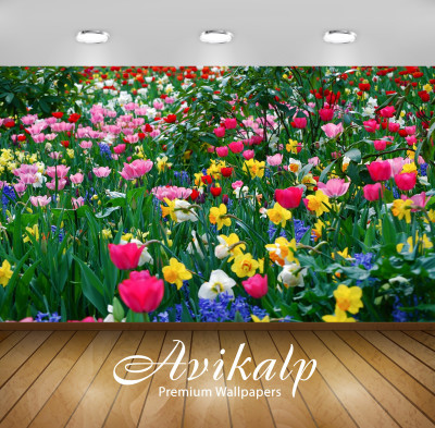

Avikalp Nature Wallpaper(60.96 cm X 91.44 cm)