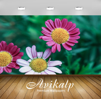 

Avikalp Nature Wallpaper(60.96 cm X 91.44 cm)
