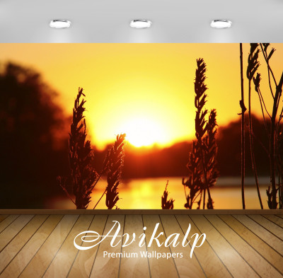 

Avikalp Nature Wallpaper(60.96 cm X 91.44 cm)