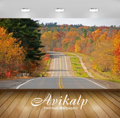 

Avikalp Nature Wallpaper(60.96 cm X 91.44 cm)