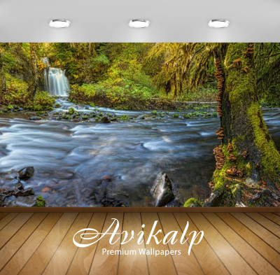 

Avikalp Nature Wallpaper(60.96 cm X 91.44 cm)