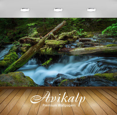 

Avikalp Nature Wallpaper(60.96 cm X 91.44 cm)