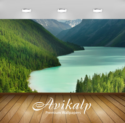 

Avikalp Nature Wallpaper(60.96 cm X 91.44 cm)
