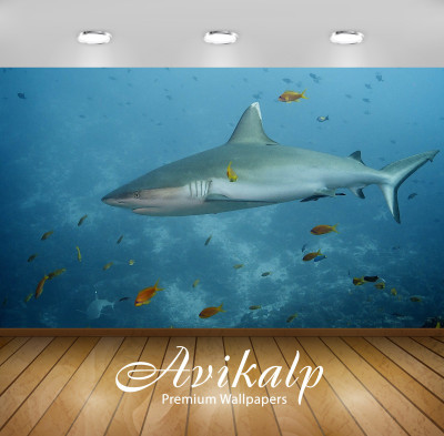 

Avikalp Nature Wallpaper(60.96 cm X 91.44 cm)