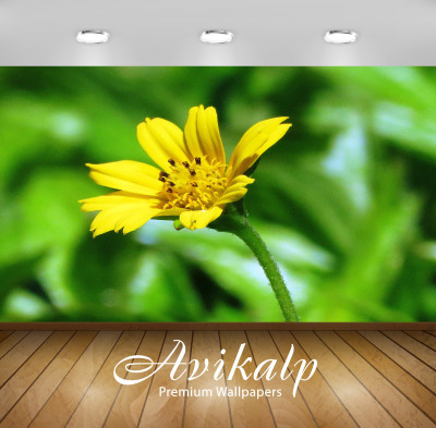 

Avikalp Nature Wallpaper(60.96 cm X 91.44 cm)