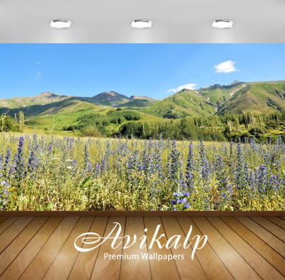 

Avikalp Nature Wallpaper(60.96 cm X 91.44 cm)