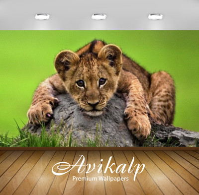 

Avikalp Nature Wallpaper(60.96 cm X 91.44 cm)