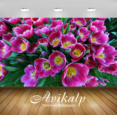 

Avikalp Nature Wallpaper(60.96 cm X 91.44 cm)