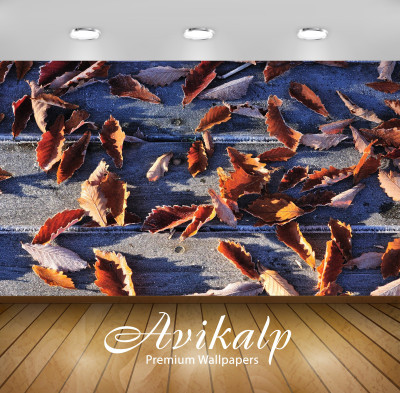 

Avikalp Nature Wallpaper(60.96 cm X 91.44 cm)